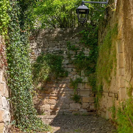 Hébergement de vacances Maison D'exception Avec Piscine Privée Au Cœur De
