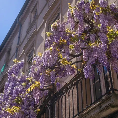 Maison D'exception Avec Piscine Privée Au Cœur De